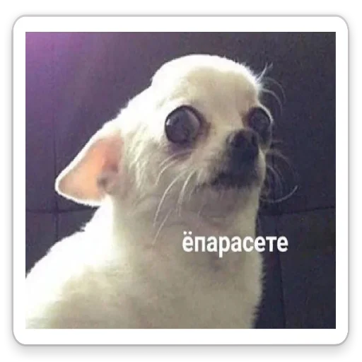 Стикер От Васьки - 7