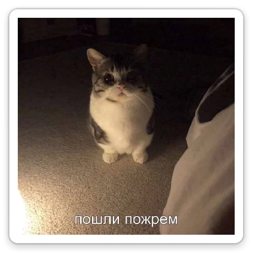 Стикер От Васьки - 4