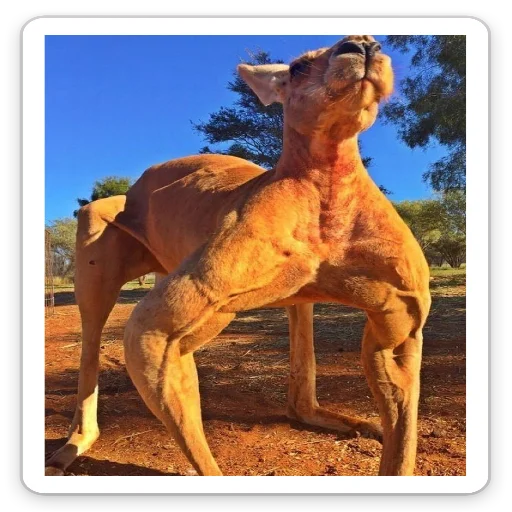 Стикер От Васьки - 3