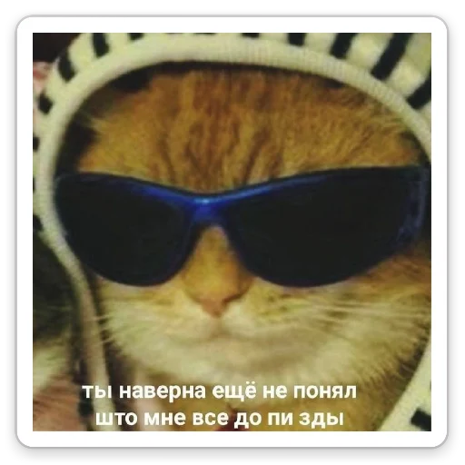 Стикер От Васьки - 2