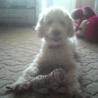 Sticker Инвалидий / @yaruIem - 10