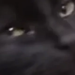 Sticker Для важных переговоров - 7