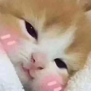 Sticker Для важных переговоров - 11