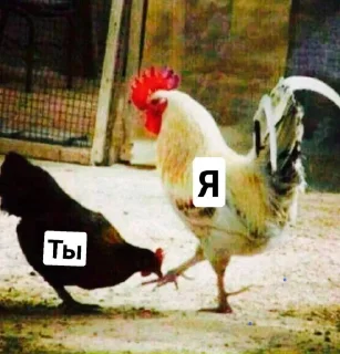 Sticker Для важных переговоров - 10