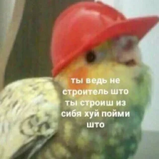 Sticker Для важных переговоров - 3