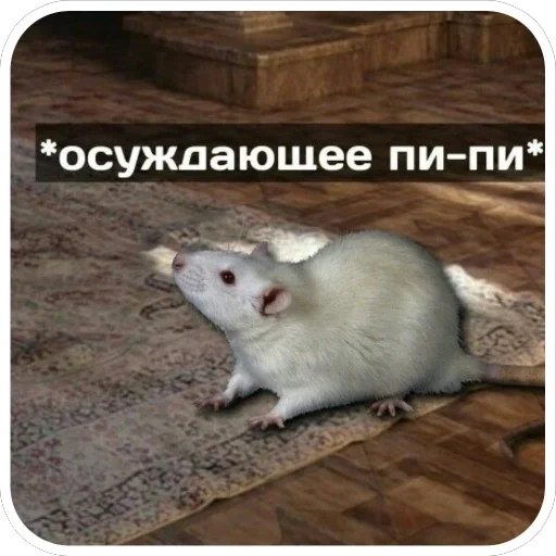 Sticker VazhnyePeregovory203 - 1