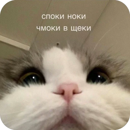 Sticker VazhnyePeregovory203 - 1