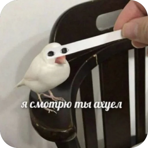 Sticker VazhnyePeregovory203 - 1