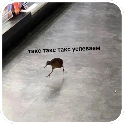 Sticker VazhnyePeregovory203 - 1