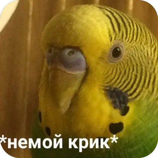 Стикер VazhnyePeregovory203 - 1