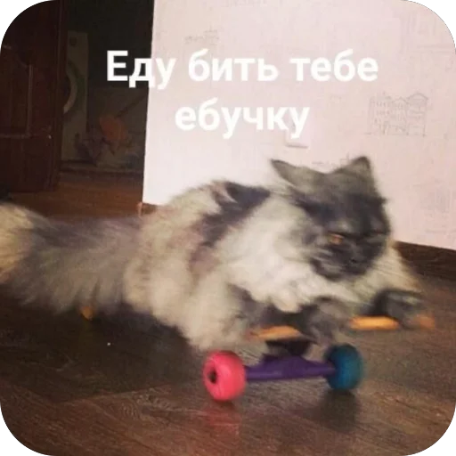 Sticker VazhnyePeregovory203 - 1