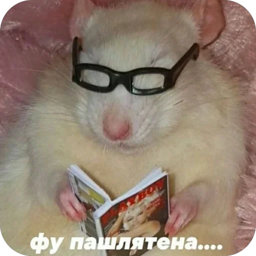 Sticker VazhnyePeregovory203 - 1