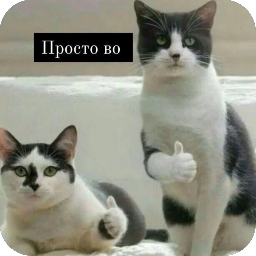 Sticker VazhnyePeregovory203 - 1