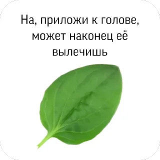 Стикер Важные переговоры 2.0 - 9