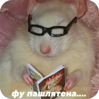 Стикер Важные переговоры 2.0 - 11