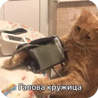 Стикер Важные переговоры 2.0 - 2