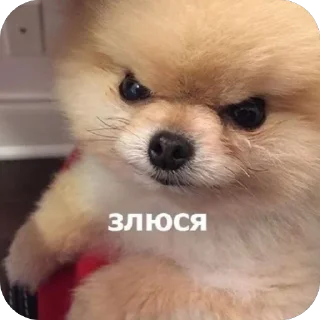 Стикер Важные переговоры 2.0 - 6