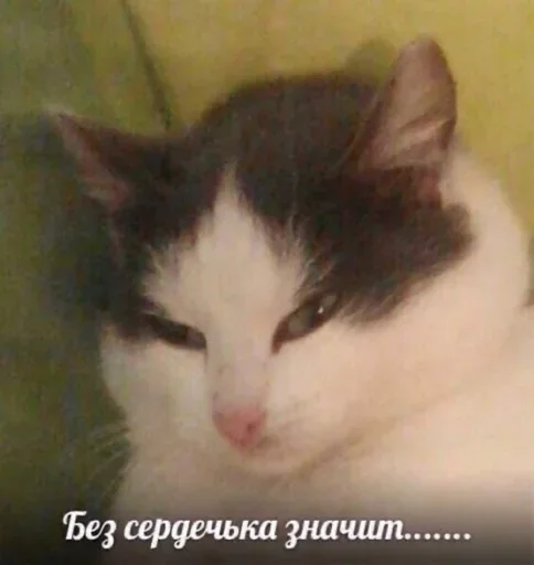 Стикер VcXGspBXsMWhx_by_stickers_stealer_bot - 1