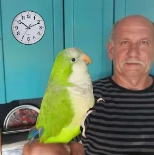 Стикер Больше стиков тут: @stikery4 - 3