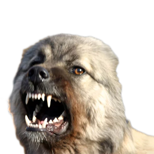 Стикер Vdrebezgi - 1