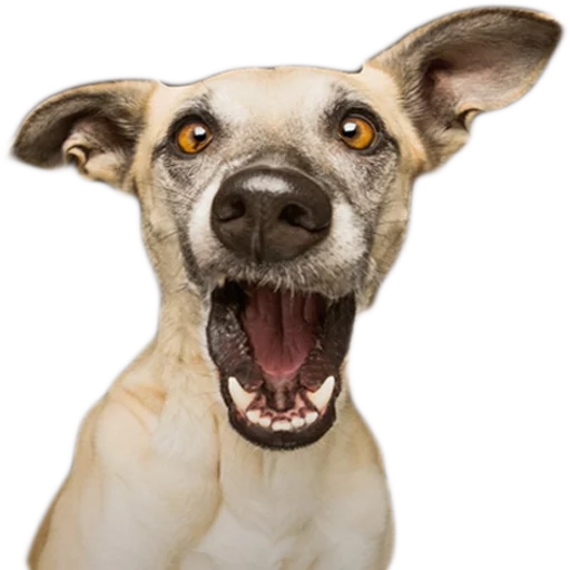 Вдребезги - 