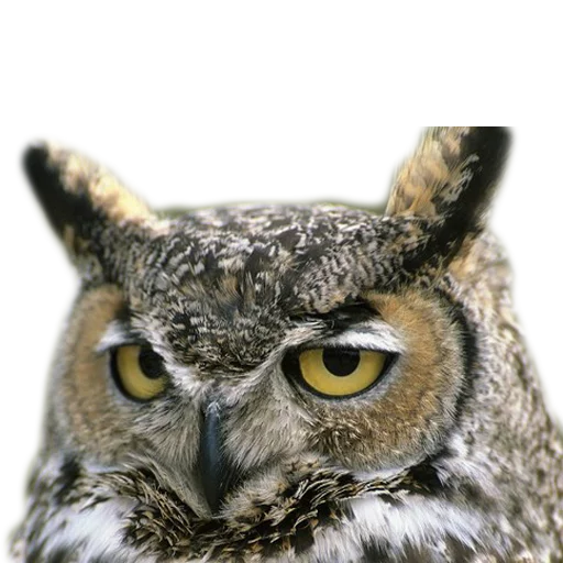 Стикер Vdrebezgi - 1