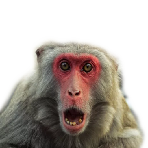 Sticker Vdrebezgi - 1