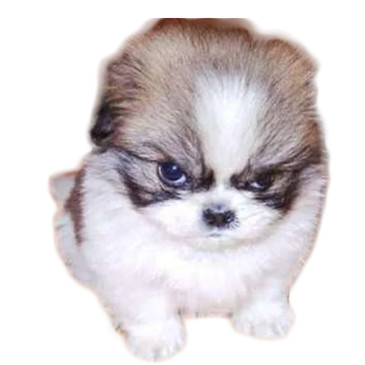 Стикер Vdrebezgi - 1