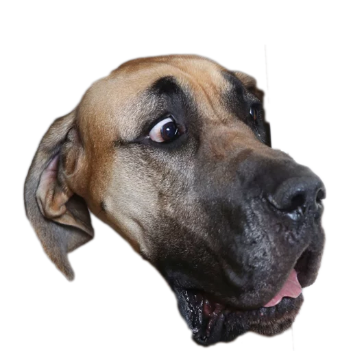 Стикер Vdrebezgi - 1