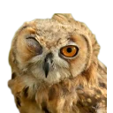 Стикер Вдребезги - 7