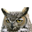 Стикер Вдребезги - 8