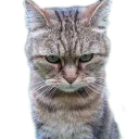 Стикер Вдребезги - 4