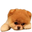 Стикер Вдребезги - 0