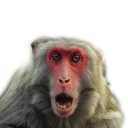 Стикер Вдребезги - 5