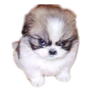 Стикер Вдребезги - 2