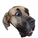 Стикер Вдребезги - 1