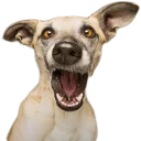 Стикер Вдребезги - 10