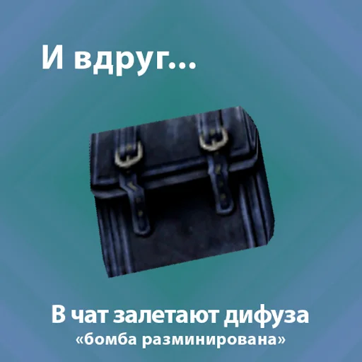 accessory bag luggage and bags