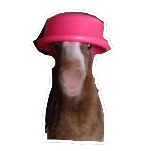 Вдуьалцсб - 