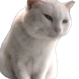 Стикер Вдуьалцсб - 10