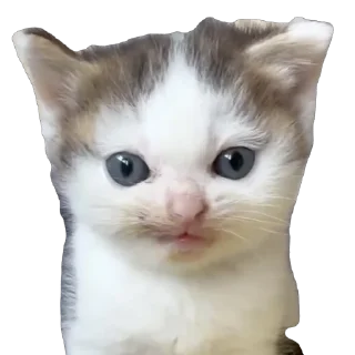 Стикер Вдуьалцсб - 7