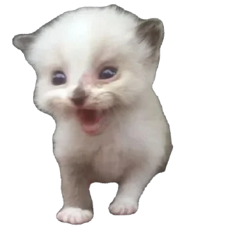 Стикер Вдуьалцсб - 4