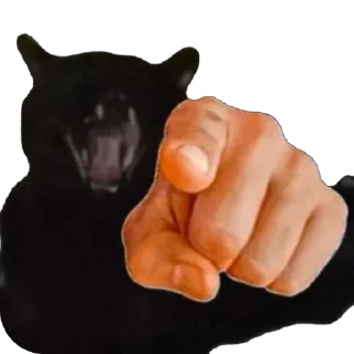 Стикер Вдуьалцсб - 1