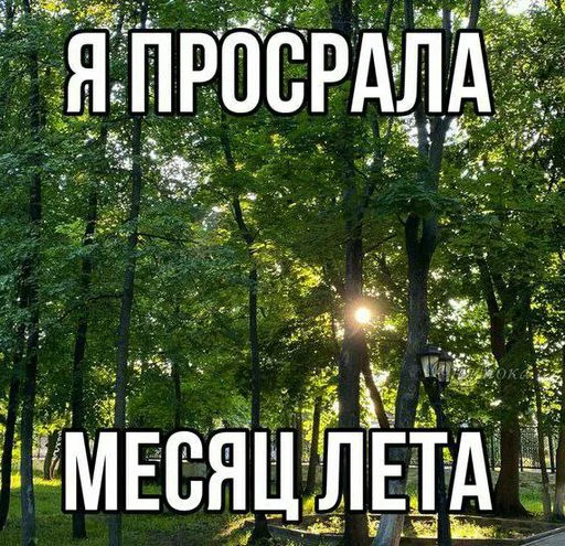 Sticker VeazNJV_by_sticbot - 1