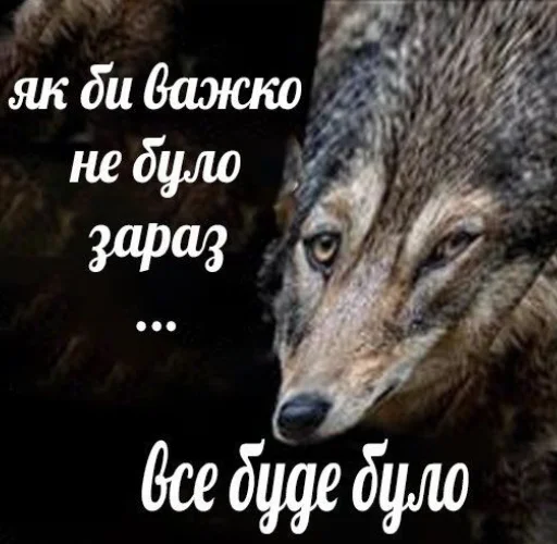 Стикер Vedkam - 1