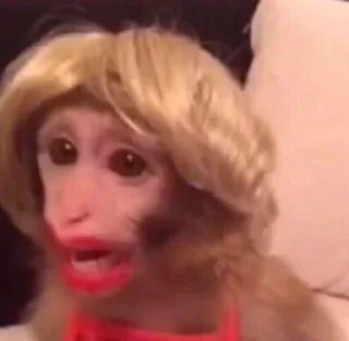 Sticker Путін.хуйлопас - 4