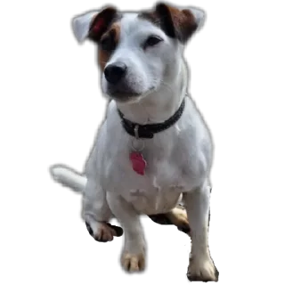 Sticker Ведрулик - 8