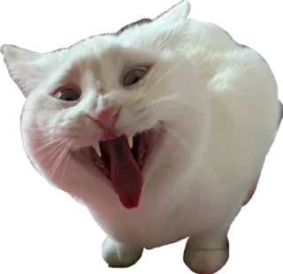 Sticker Velelena - 6