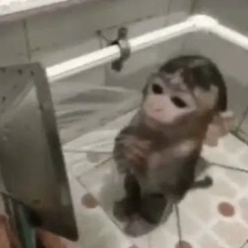 Sticker Стикер пак от @Velgit_woh - 11