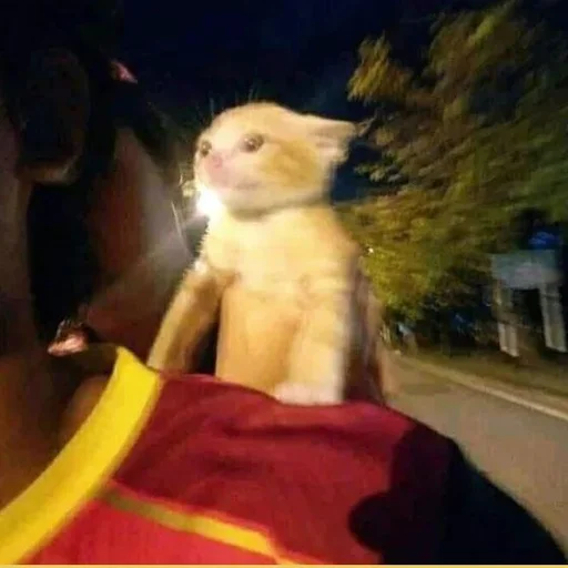 Sticker Стикер пак от @Velgit_woh - 7